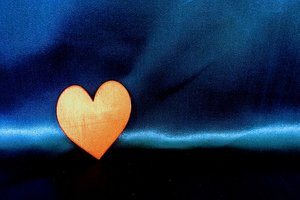 donation 3 from bella