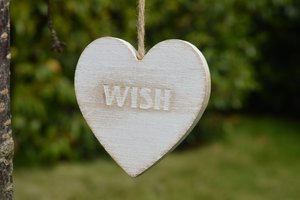 third wish